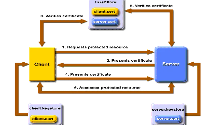 Official login authentication form and alternative mirror connections