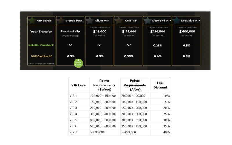 Comprehensive VIP tiers structure: turnover criteria and personal host perks